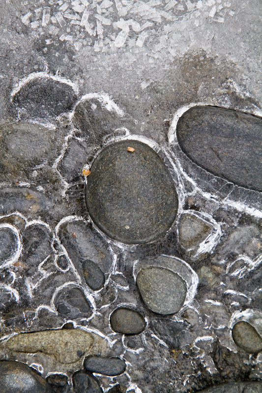 River Rocks Encased In Ice